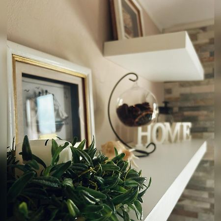 Loft Seca Villa Lucija Dış mekan fotoğraf